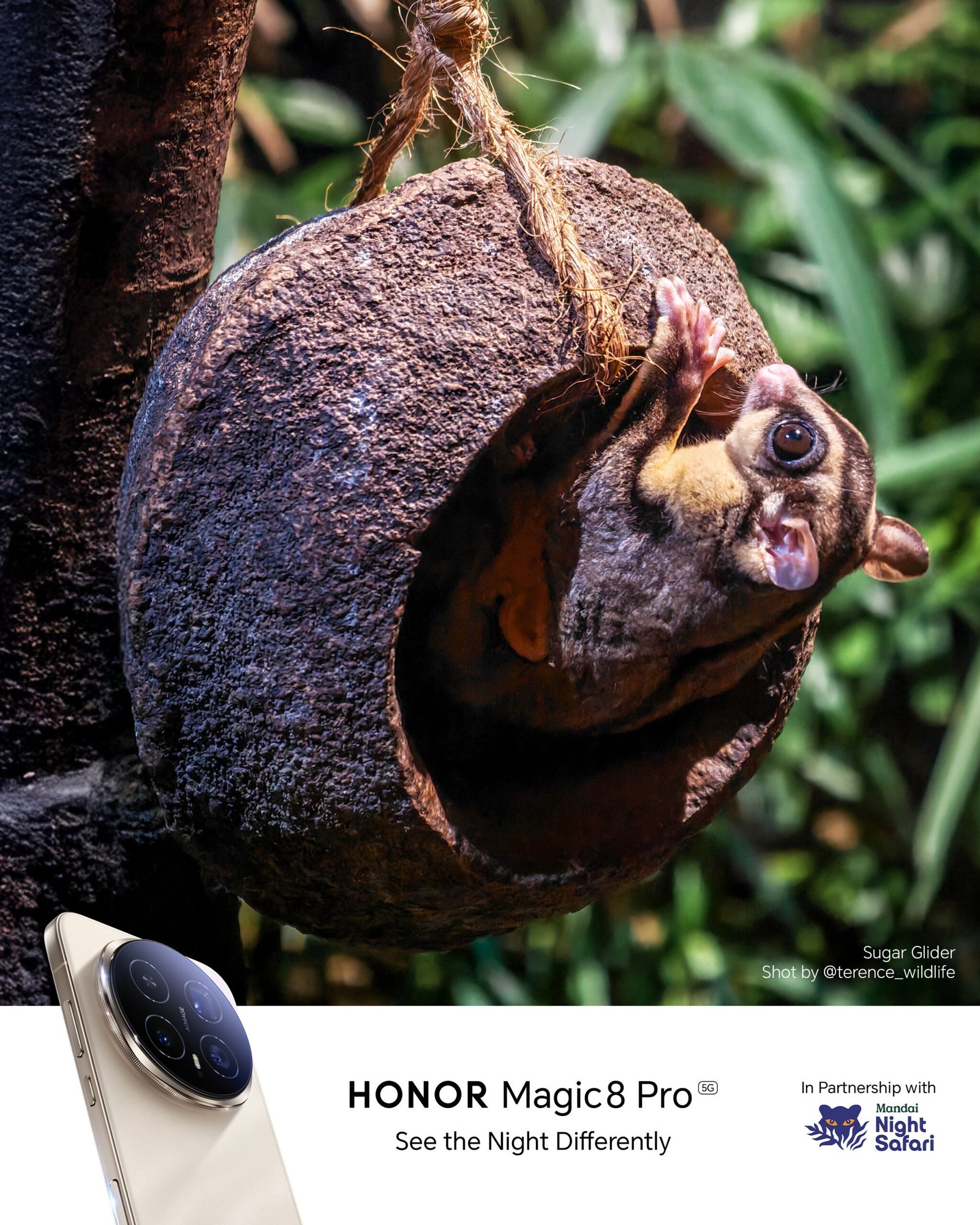 HONOR Magic8 Pro Photography