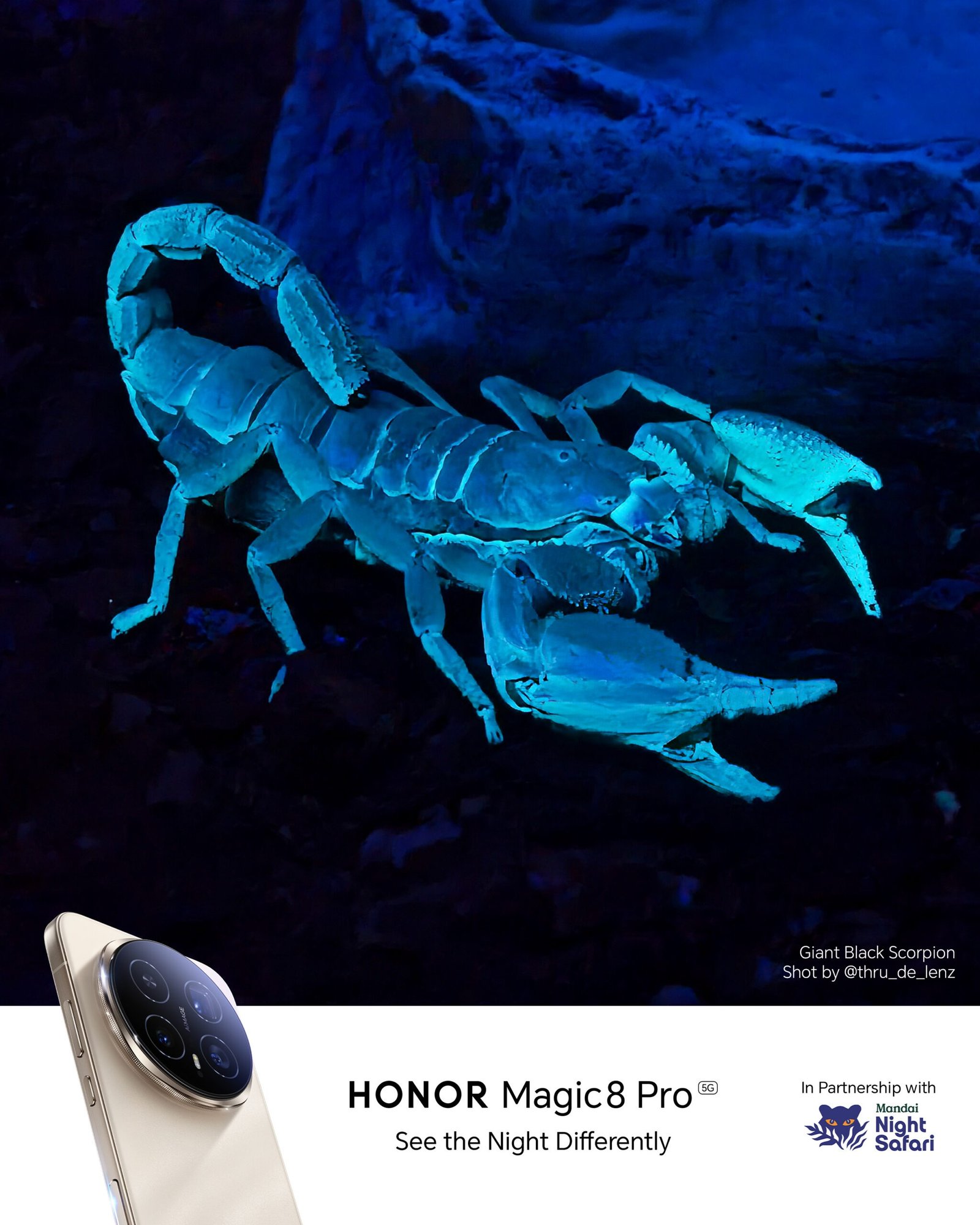 HONOR Magic8 Pro Photography