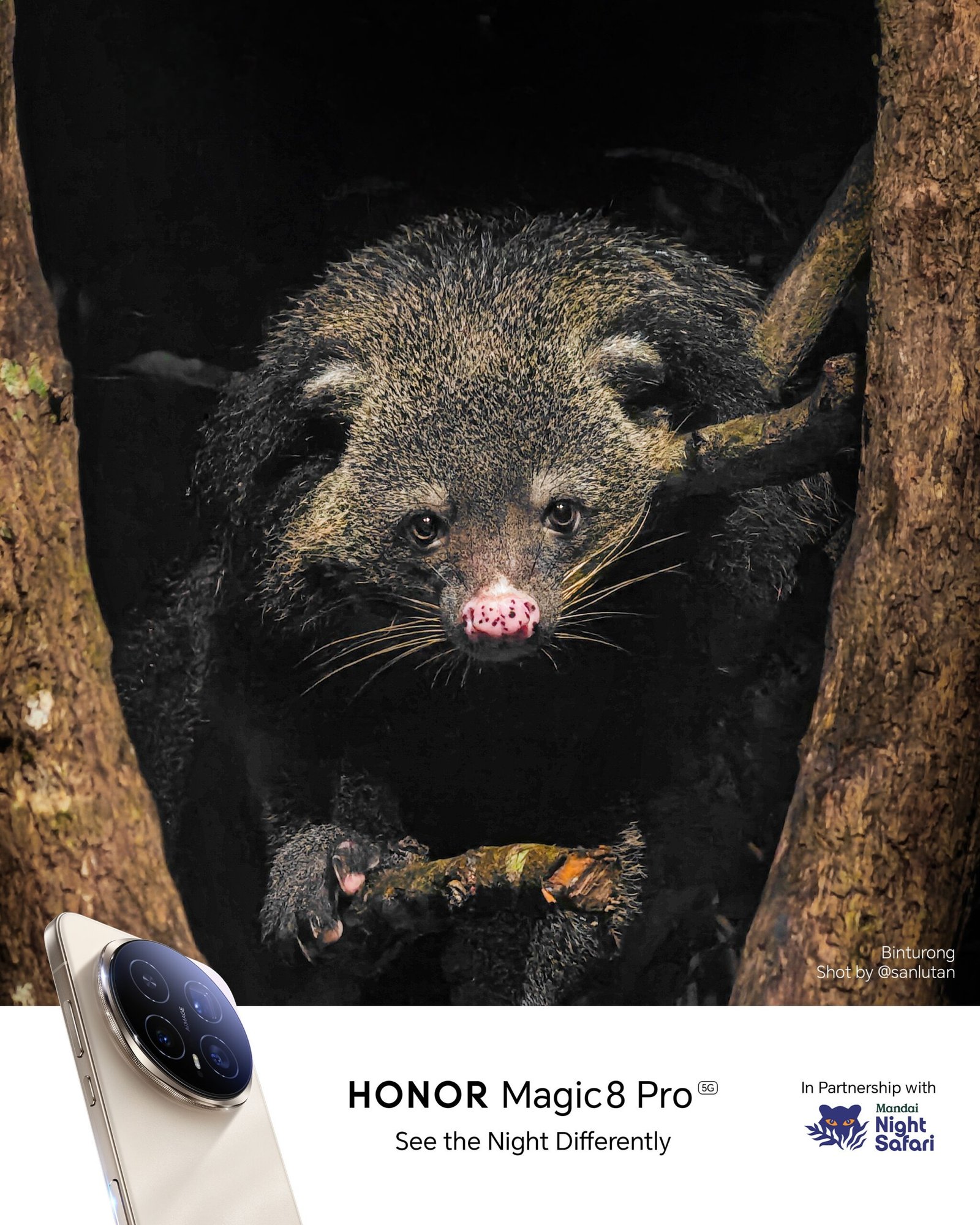 HONOR Magic8 Pro Photography