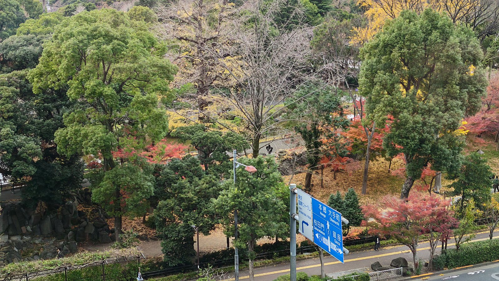 HONOR Magic8 Pro Camera Results