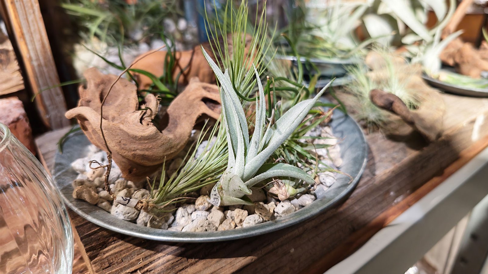 HONOR Magic8 Pro Camera Results