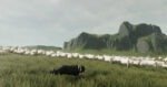 TGA 2025 Cinematic Sheepdog Adventure The Free Shepherd Coming in 2027