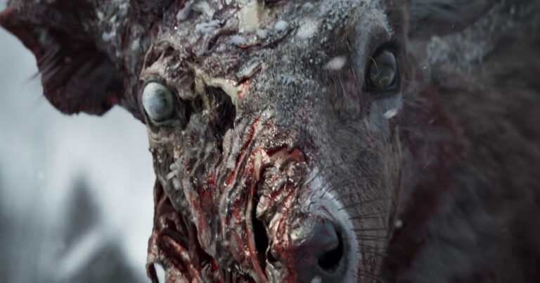 Undead Labs Admits State of Decay 3 Was Not in Development When First Revealed