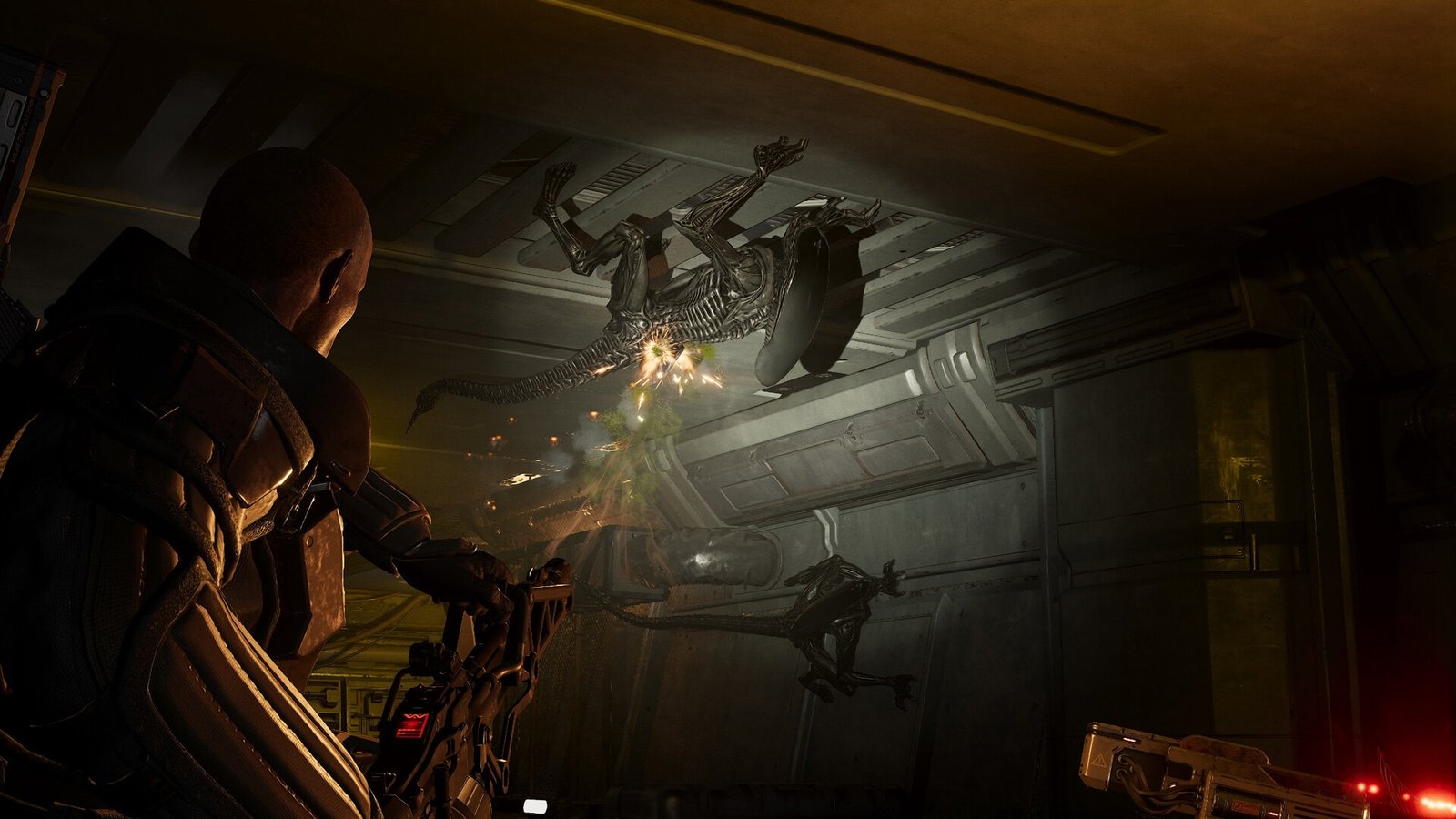 Aliens: Fireteam Elite 2 Targets Summer 2026 With Larger Co-Op Battles