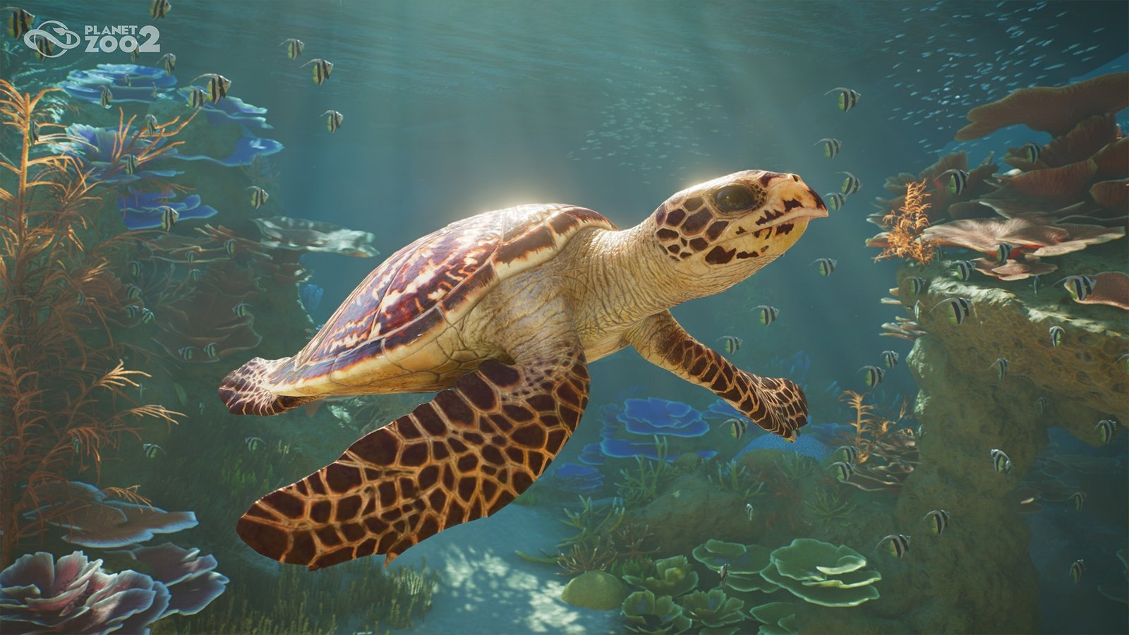 Planet Zoo 2 Aquatic And Flying Species Bring A Wilder Sequel To Frontier’s Zoo Sim