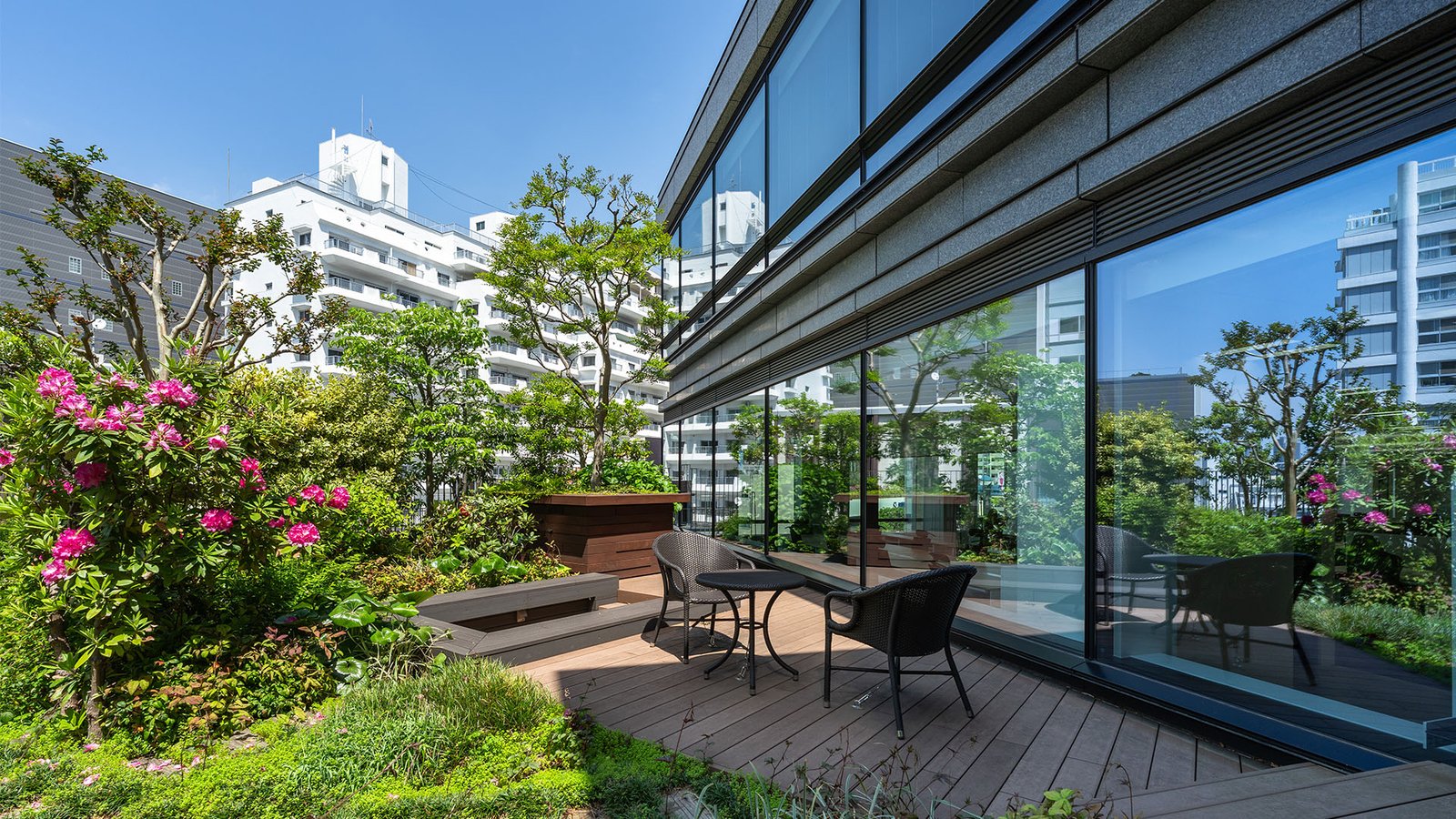 VS Studio SNK Office