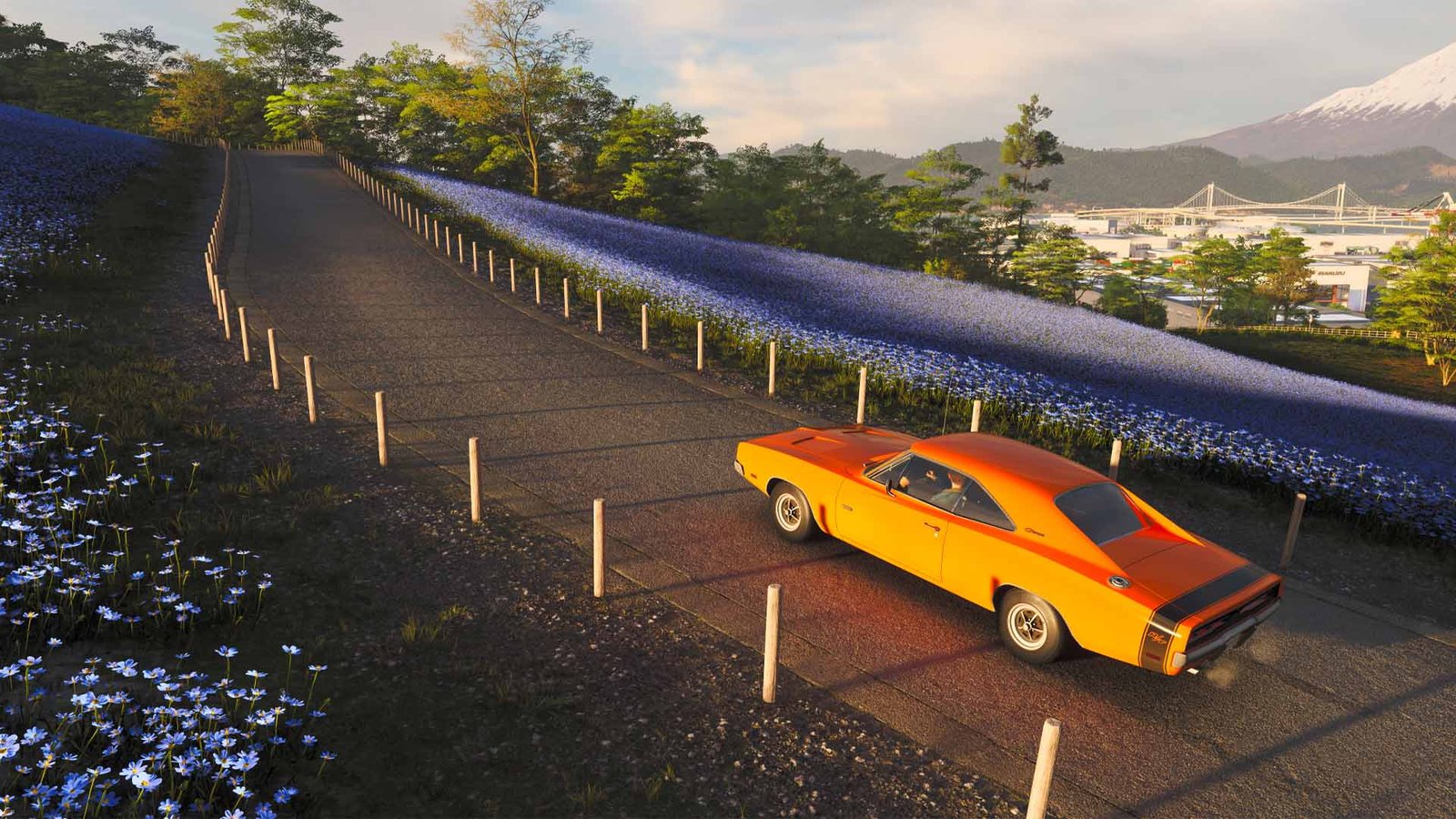 Driving through flower fields in the Ito region in a '69 Dodge Charger in Forza Horizon 6