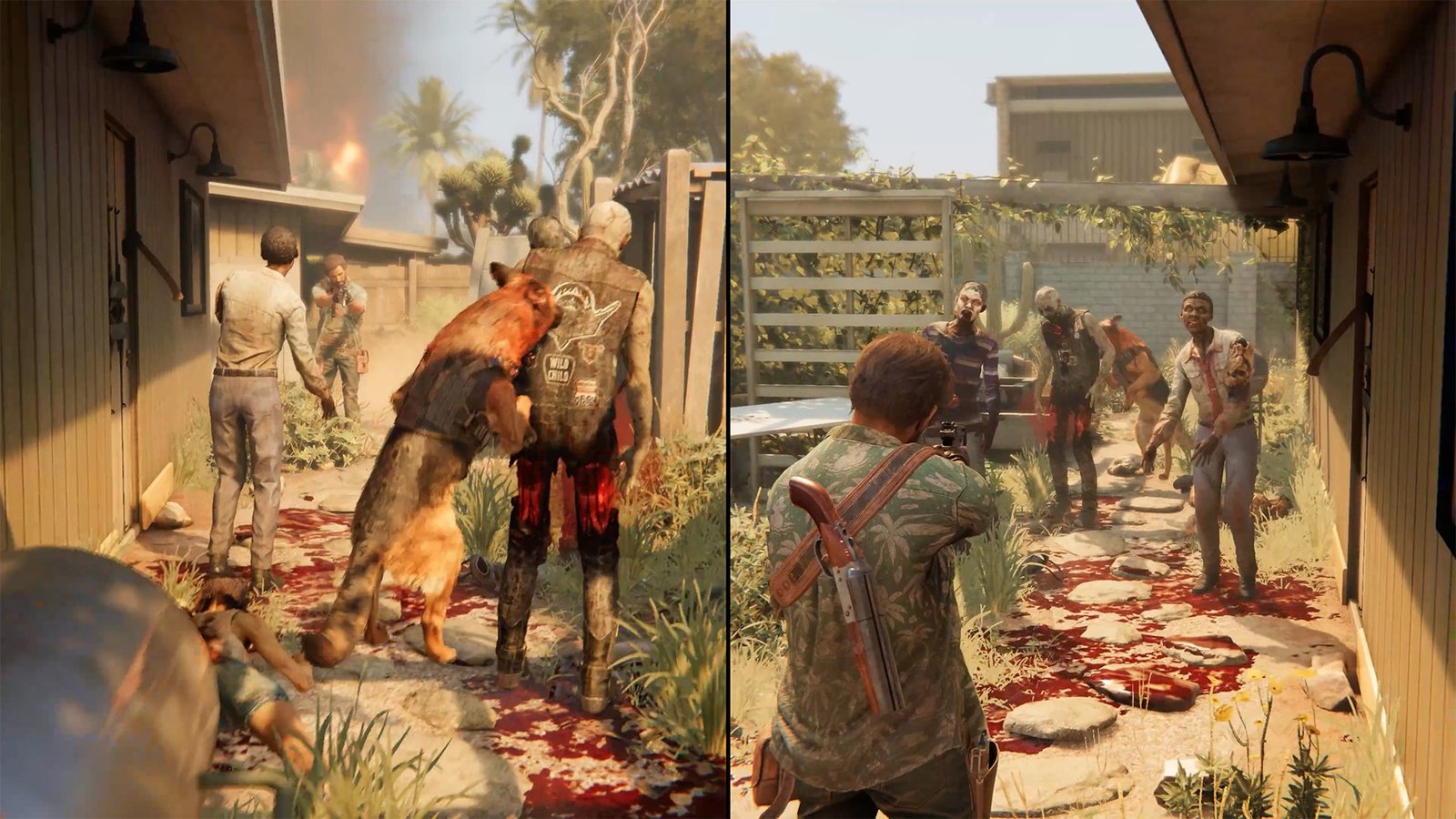 Arizona Sunshine Co-op Play