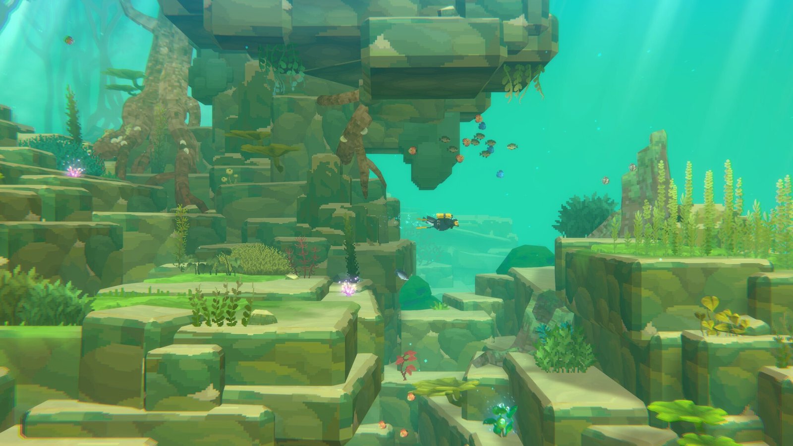 Dave The Diver In The Jungle DLC Diving