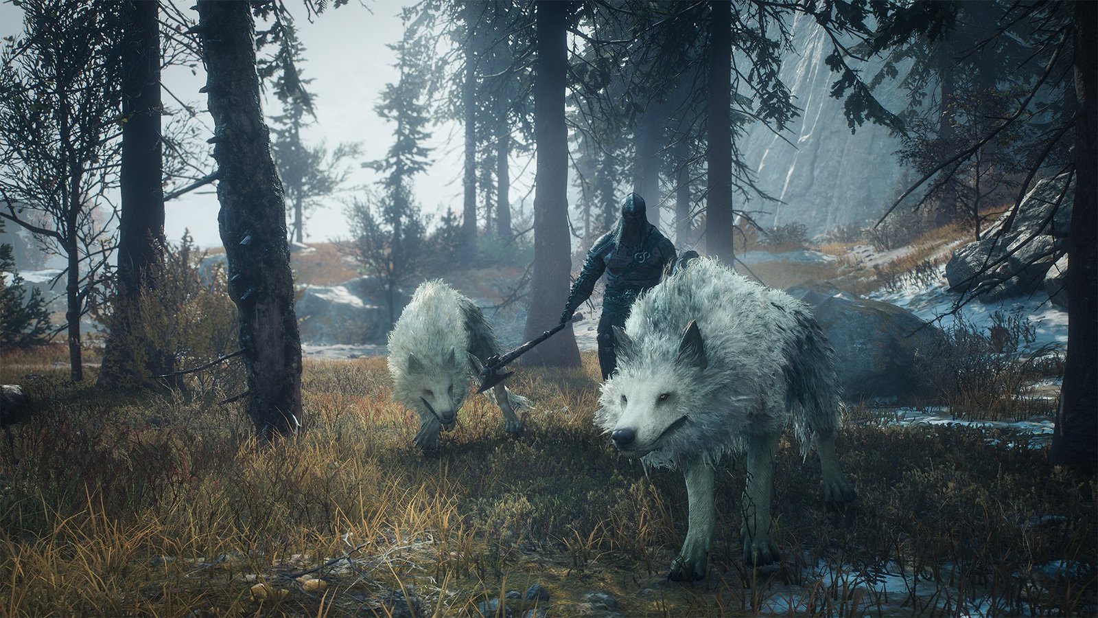 Dragon’s Dogma 2: Dark Arisen Direwolf