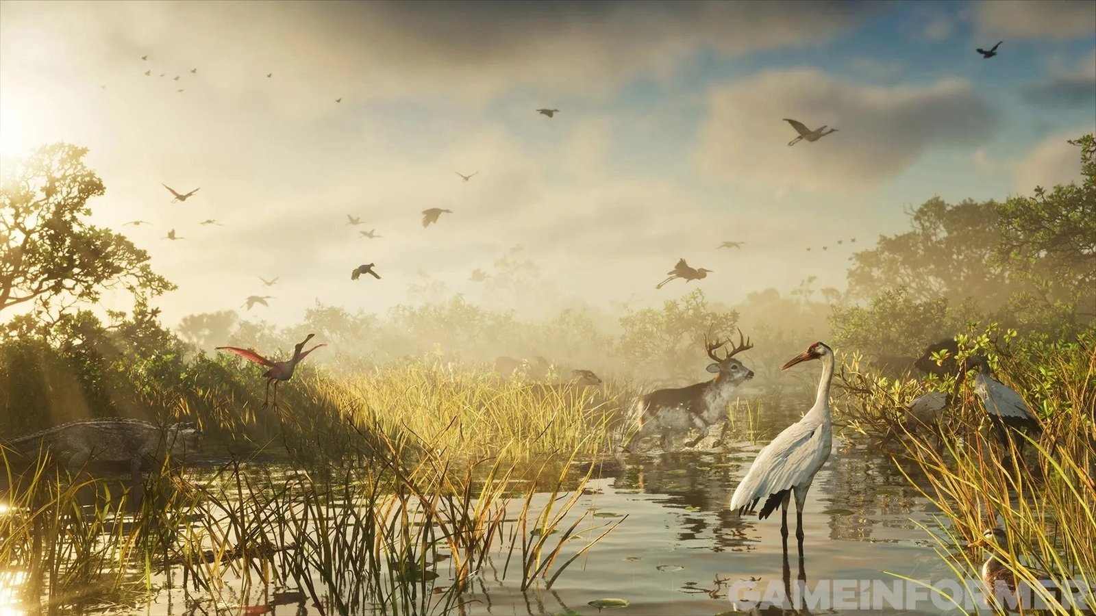 GTA VI Wildlife