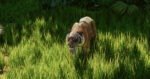 Planet Zoo 2 Everything You Need to Know About Aquariums, Aviaries, Wildlife Reserves and More