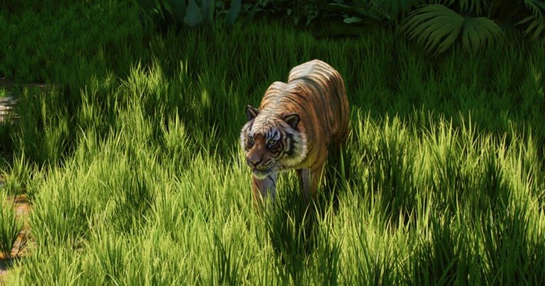 Planet Zoo 2 Everything You Need to Know About Aquariums, Aviaries, Wildlife Reserves and More