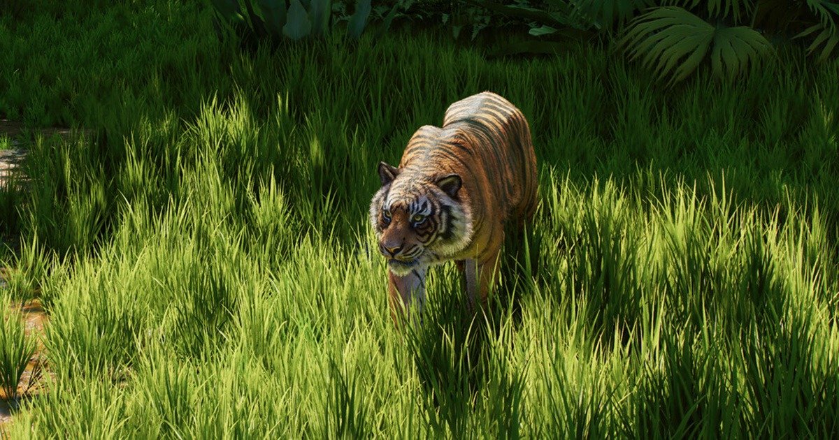 Planet Zoo 2 – Everything You Need to Know About Aquariums, Aviaries, Wildlife Reserves and More